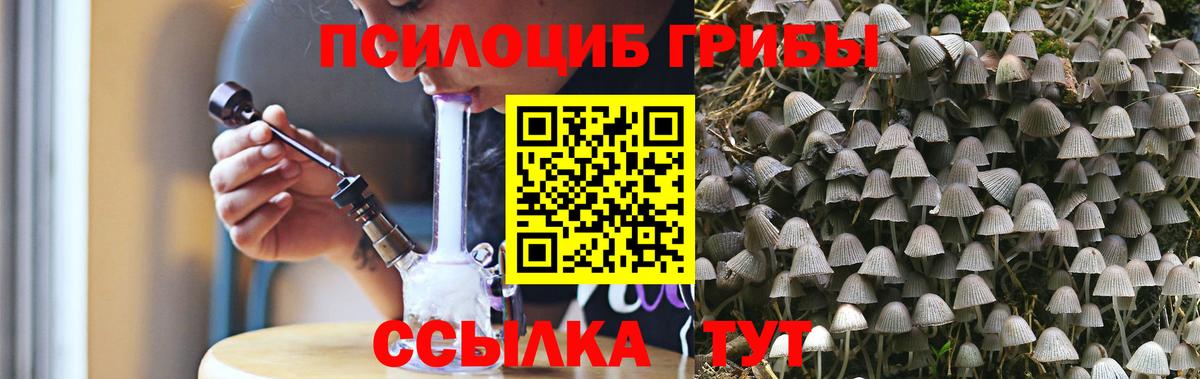 Галлюциногенные грибы Magic Shrooms Гулькевичи