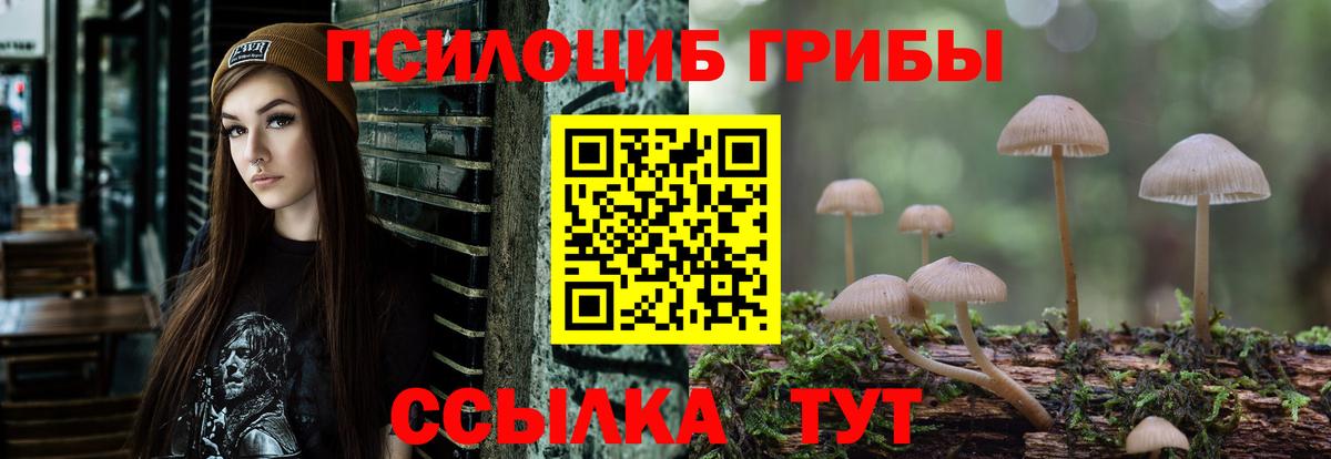 Галлюциногенные грибы ЛСД  Вход с VPN  Псилоцибиновые грибы Magic Shrooms  Гулькевичи 